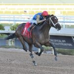 Commandment - the Mucho Macho Man Stakes - Coglianese Photo