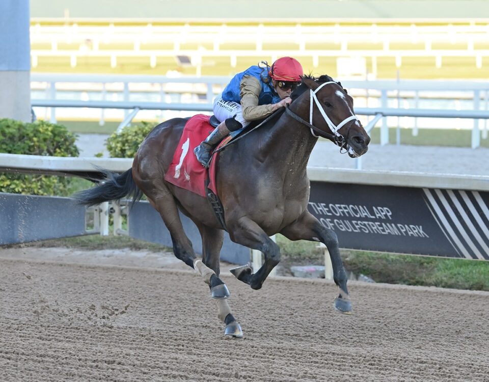 Commandment - the Mucho Macho Man Stakes - Coglianese Photo