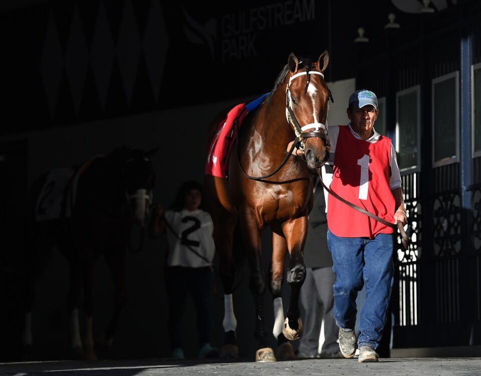 Commandment - Ryan Thompson - Coglianese Photo