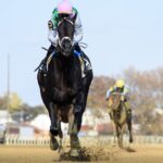 Disco Time - Coglianese Photo