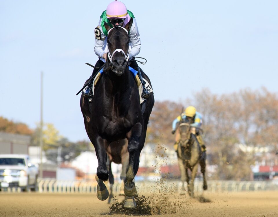Disco Time - Coglianese Photo