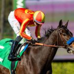 Explora - Santa Ynez Stakes - Santa Anita Park - Benoit Photo