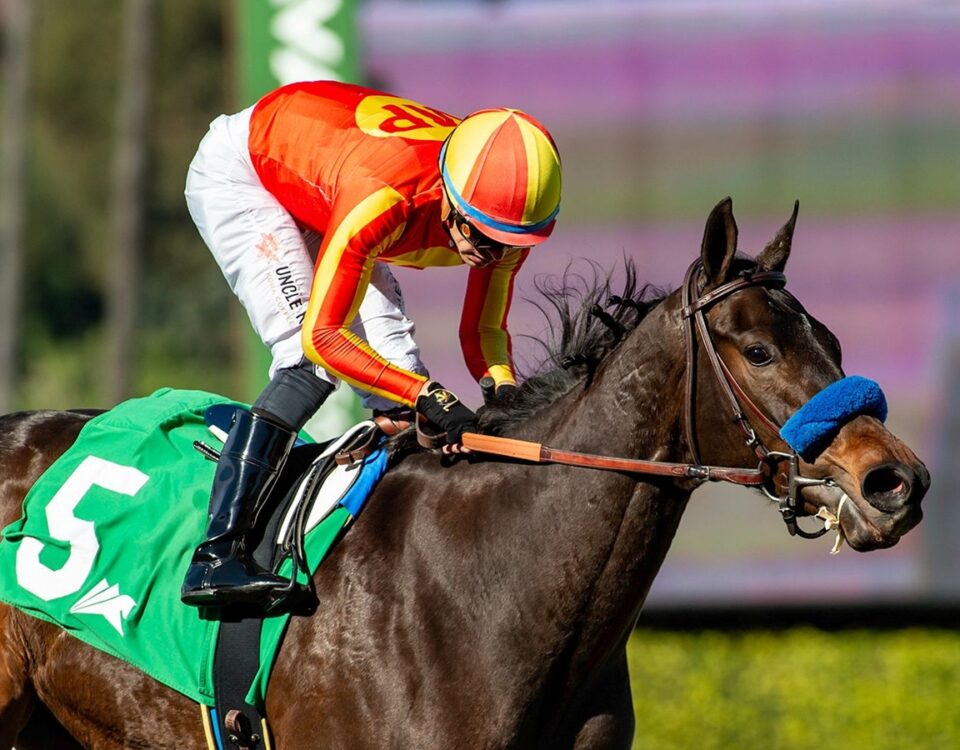 Explora - Santa Ynez Stakes - Santa Anita Park - Benoit Photo