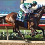 Flightline (Beyer 126) - photo credit Emily Shields