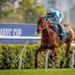 Romantic Warrior - Stewards’ Cup - photo credit Hong Kong Jockey Club -