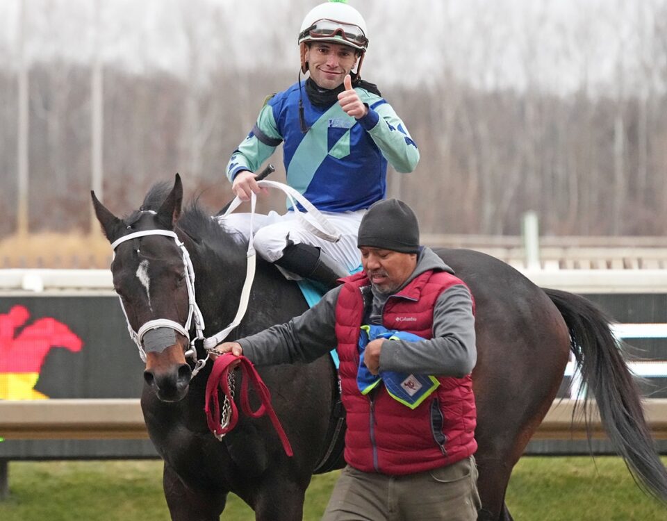 Hollywood Import - Jeffrey Snyder - Maryland Jockey Club