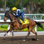 Ka Ying Rising (training) - Hong Kong Jockey Club
