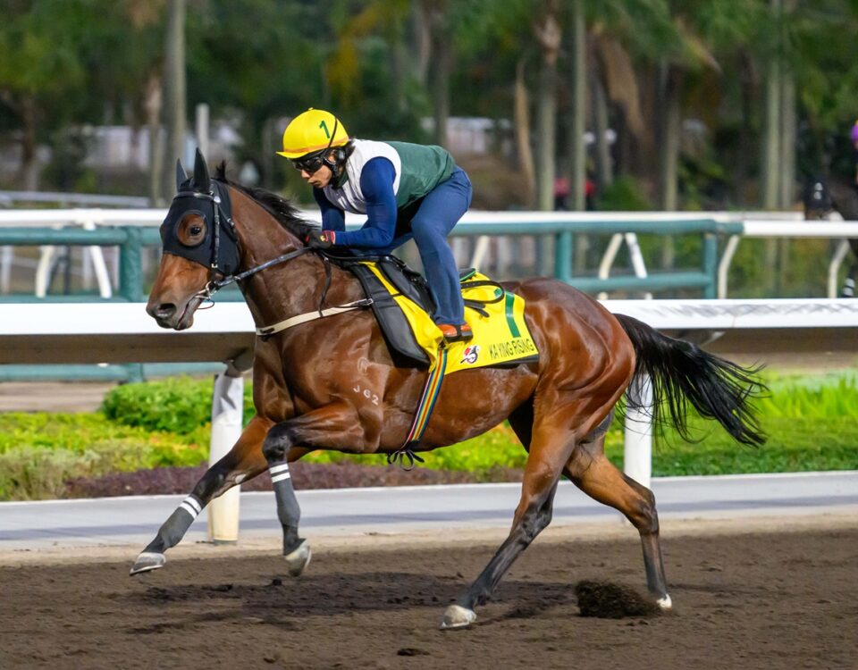 Ka Ying Rising (training) - Hong Kong Jockey Club