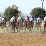 Keeneland Fall 2025 - Coady Media
