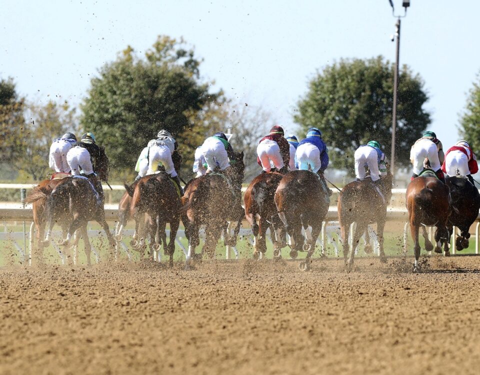 Keeneland Fall 2025 - Coady Media