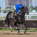 Knightsbridge - Fred W. Hooper G3 - Makoto Kine - Daily Racing Form