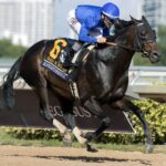 Knightsbridge - Barbara D. Livingston - Daily Racing Form