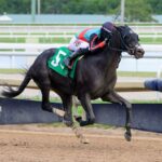 Lightning Tones - Sunshine Classic Stakes - Gulfstream Park - Coglianese Photo