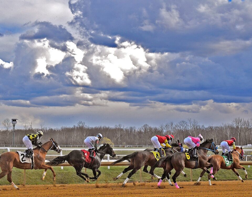 Laurel Park - Jim McCue/Maryland Jockey Club