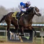 Life and Times - Barbara D. Livingston - Daily Racing Form