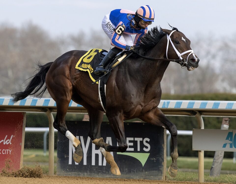 Life and Times - Barbara D. Livingston - Daily Racing Form