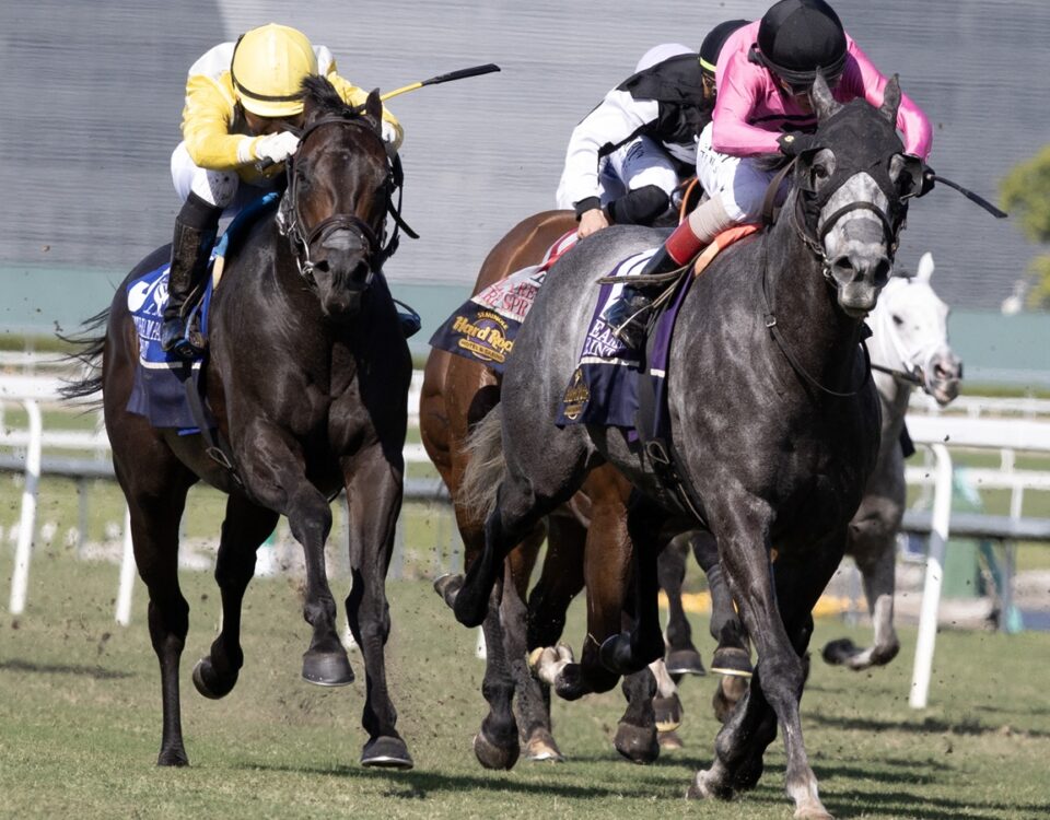 Litigation (parte externa) Mario Gutierrez y Brian Lynch - Barbara D. Livingston - Daily Racing Form