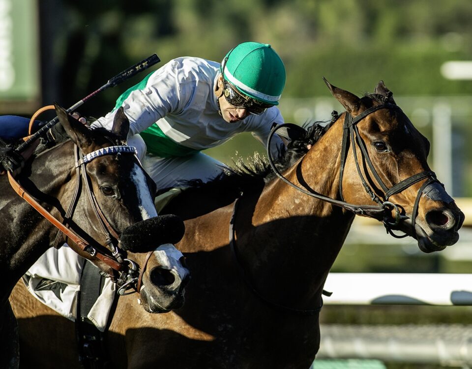 Mrs. Astor - Astra Stakes - Santa Anita Park, Arcadia, CA. - Benoit Photo