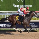 Nearly - Lauren King - Coglianese Photo
