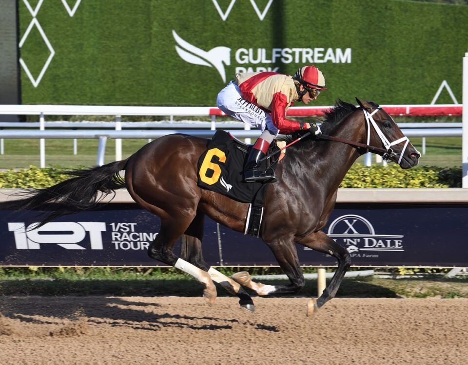 Nearly - Lauren King - Coglianese Photo