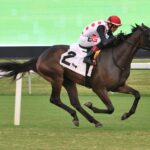 Our Souper Hero - credit Ryan Thompson - Coglianese Photo