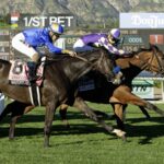 Paradise Lake - Robert J. Frankel Stakes G3 - Santa Anita Park - © BENOIT PHOTO