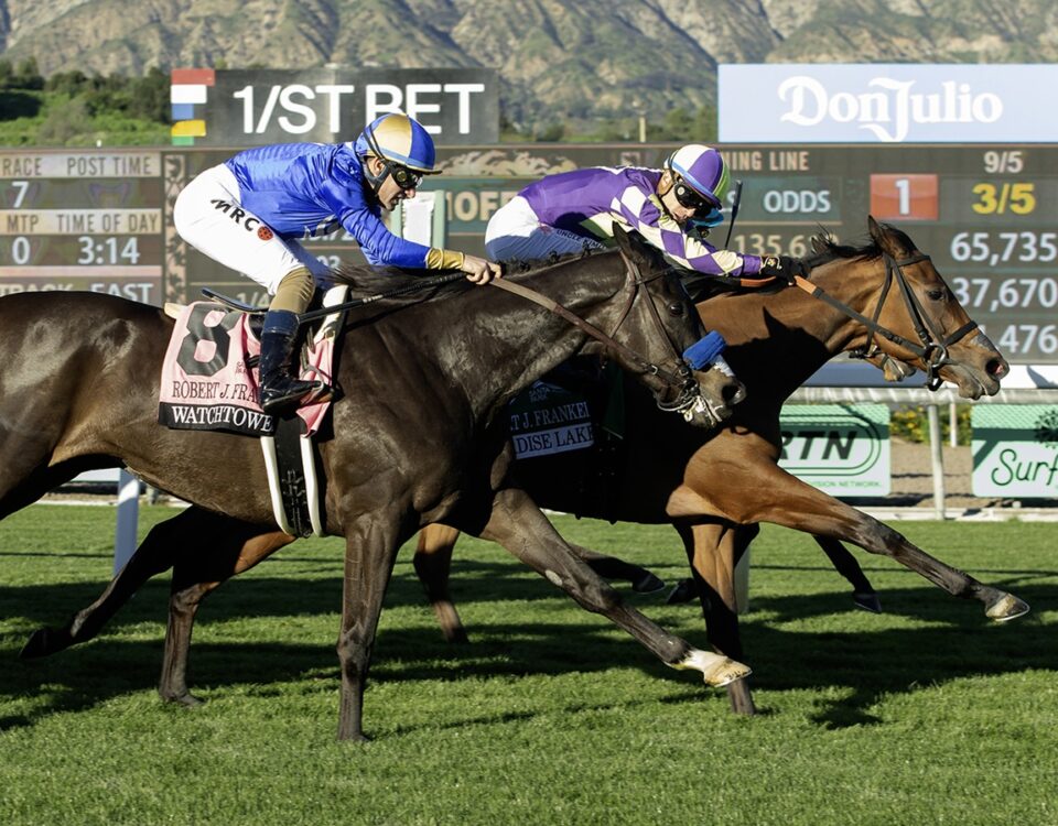 Paradise Lake - Robert J. Frankel Stakes G3 - Santa Anita Park - © BENOIT PHOTO