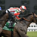 Program Trading (GB) - Barbara Livingston - Daily Racing Form