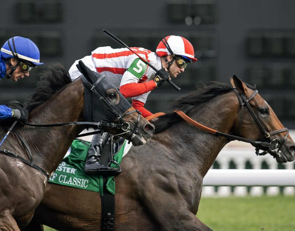 Program Trading (GB) - Barbara Livingston - Daily Racing Form