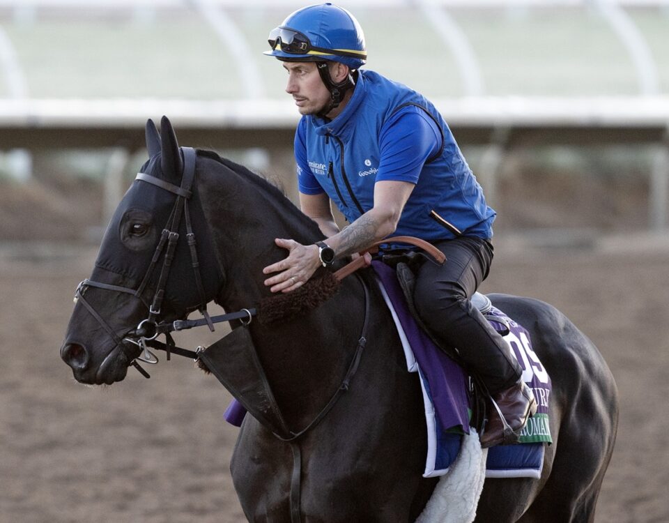 Rebel's Romance - Barbara D. Livingston - Daily Racing Form