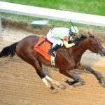 STRATEGIC RISK - Smarty Jones Stakes - Oaklawn Park - Coady Media - Andrew Stauffacher