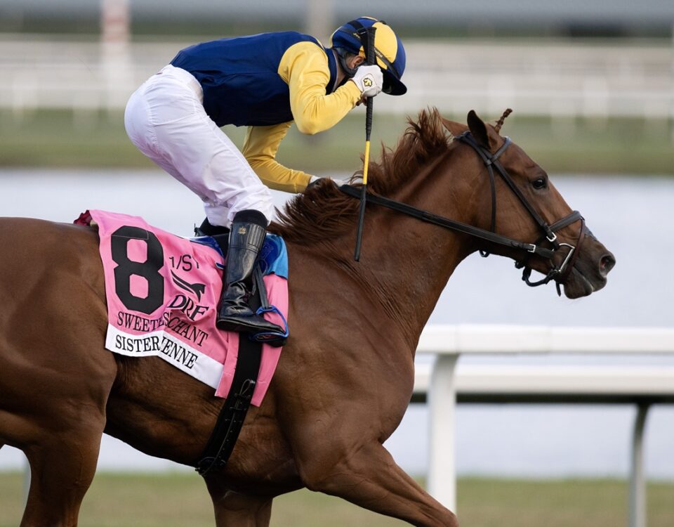 Sister Troienne - Sweetest Chant Stakes presentado por DRF - Barbara D. Livingston / Daily Racing Form