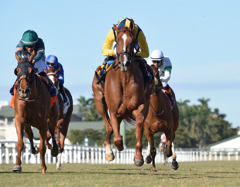 Sister Troienne the Ginger Brew credit Ryan Thompson - Coglianese Photo