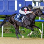Six Speed - UAE 2000 Guineas - Meydan - Foto: Dubai Racing Club