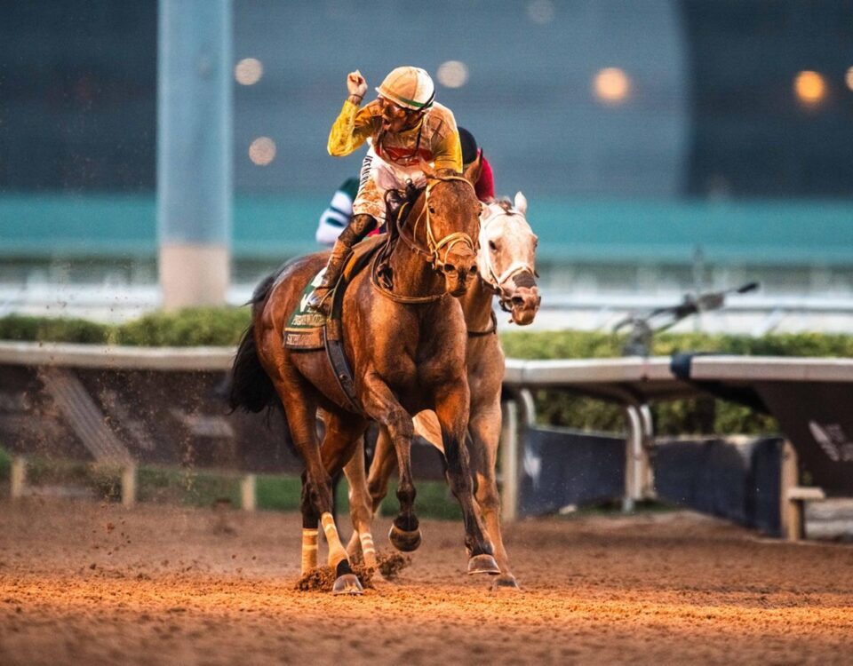 Skippylongstocking - Pegasus World Cup Invitational G1 2026 - Makoto Kine – Daily Racing Form
