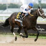 Solitude Dude - Swale Stakes - Barbara D. Livingston / Daily Racing Form