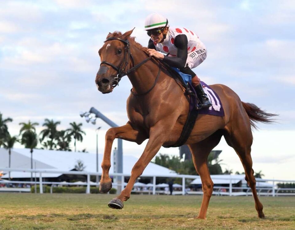 Souper Zonda - Sunshine Classic Filly & Mare Turf Stakes - Gulfstream Park - Coglianese Photo