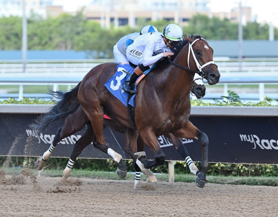 Tappan Street - Lauren King - Coglianese Photo
