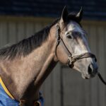 Ted Noffey - Barbara D. Livingston - Daily Racing Form