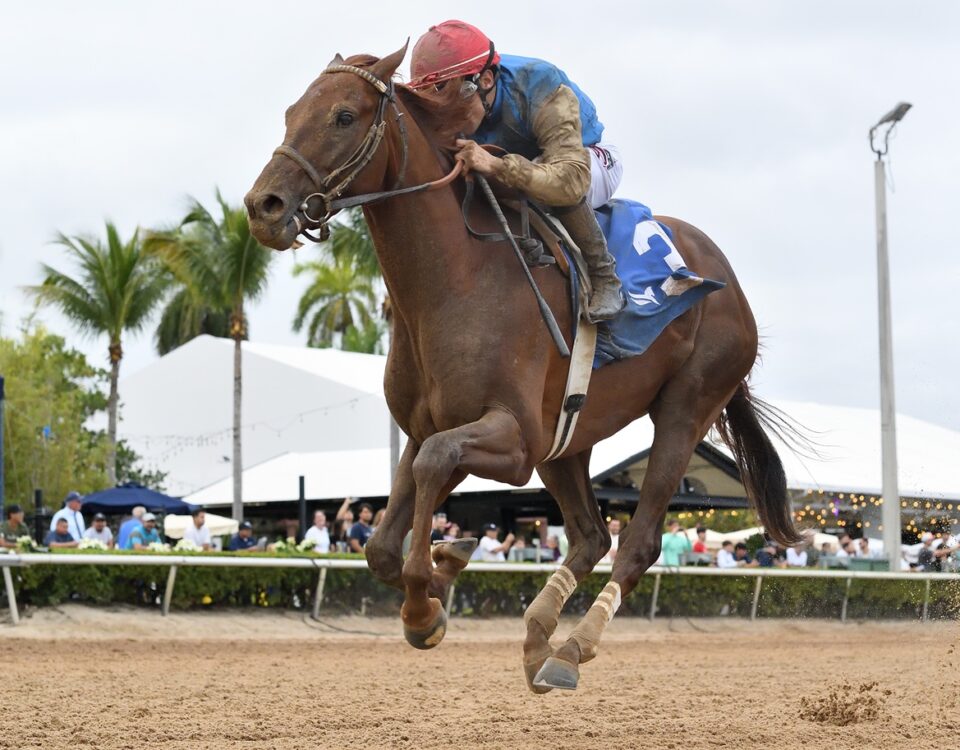 Thunderously credit Ryan Thompson - Coglianese Photo