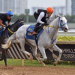 White Abarrio - Ryan Thompson/Coglianese Photo
