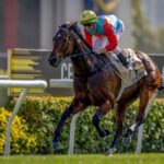 Ka Ying Rising - Centenary Sprint Cup - photo credit Hong Kong Jockey Club