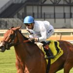 Whiskey Decision - The Athenia - credit Chelsea Durand