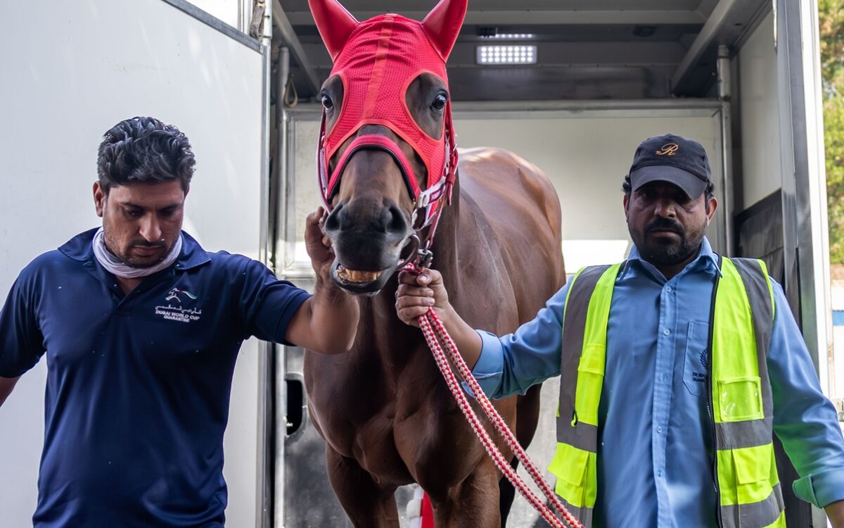 Forever Young (Jpn) en Myedan - Foto credito: Dubai Racing Club