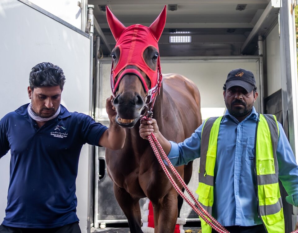 Forever Young (Jpn) en Myedan - Foto credito: Dubai Racing Club