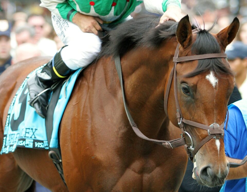 Afleet Alex - Barbara D. Livingston / Daily Racing Form