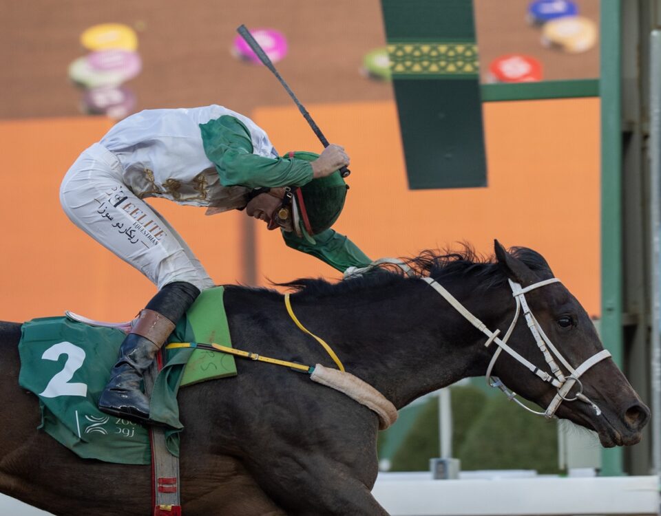 Al Haram - King Abdulaziz Racecourse - Mathea Kelley- JCSA