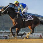 Balboa - Jeffrey Snyder - Maryland Jockey Club