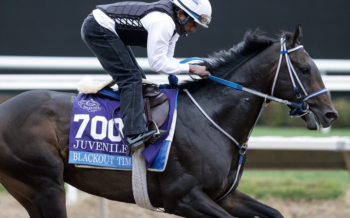 Blackout Time - Barbara D. Livingston - Daily Racing Form