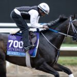 Blackout Time - Barbara D. Livingston - Daily Racing Form